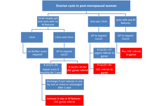 Post menopausal ovarian cysts flowchart